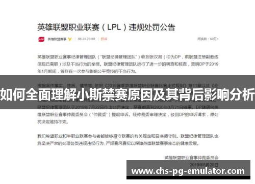 如何全面理解小斯禁赛原因及其背后影响分析