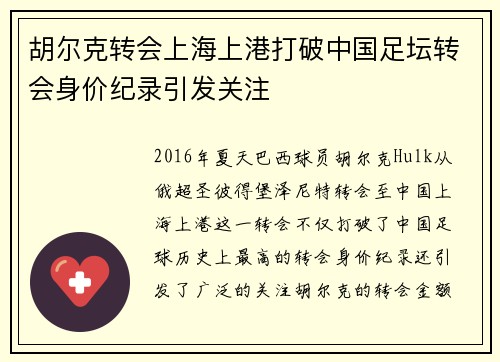 胡尔克转会上海上港打破中国足坛转会身价纪录引发关注