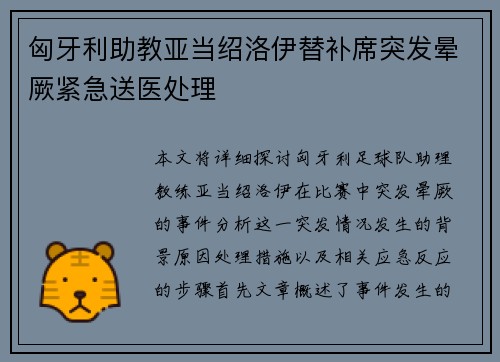 匈牙利助教亚当绍洛伊替补席突发晕厥紧急送医处理